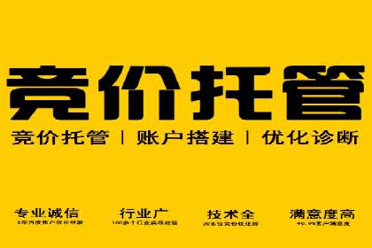 SEM账户运营优化：实战案例剖析